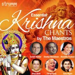 Essential Krishna Chants by the Maestros - Kedar Pandit Song Download